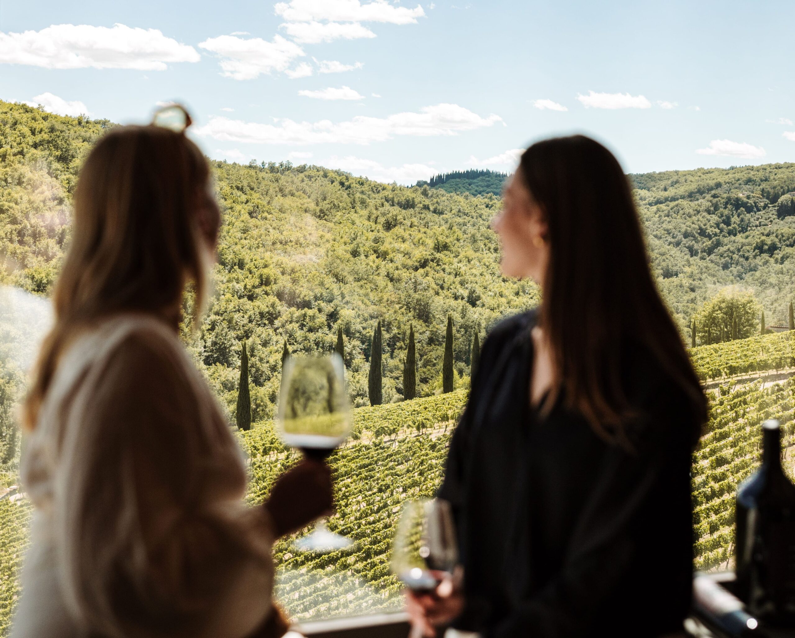 Wine tasting with a view of the Tuscan vineyards at Brancaia winery in Chianti