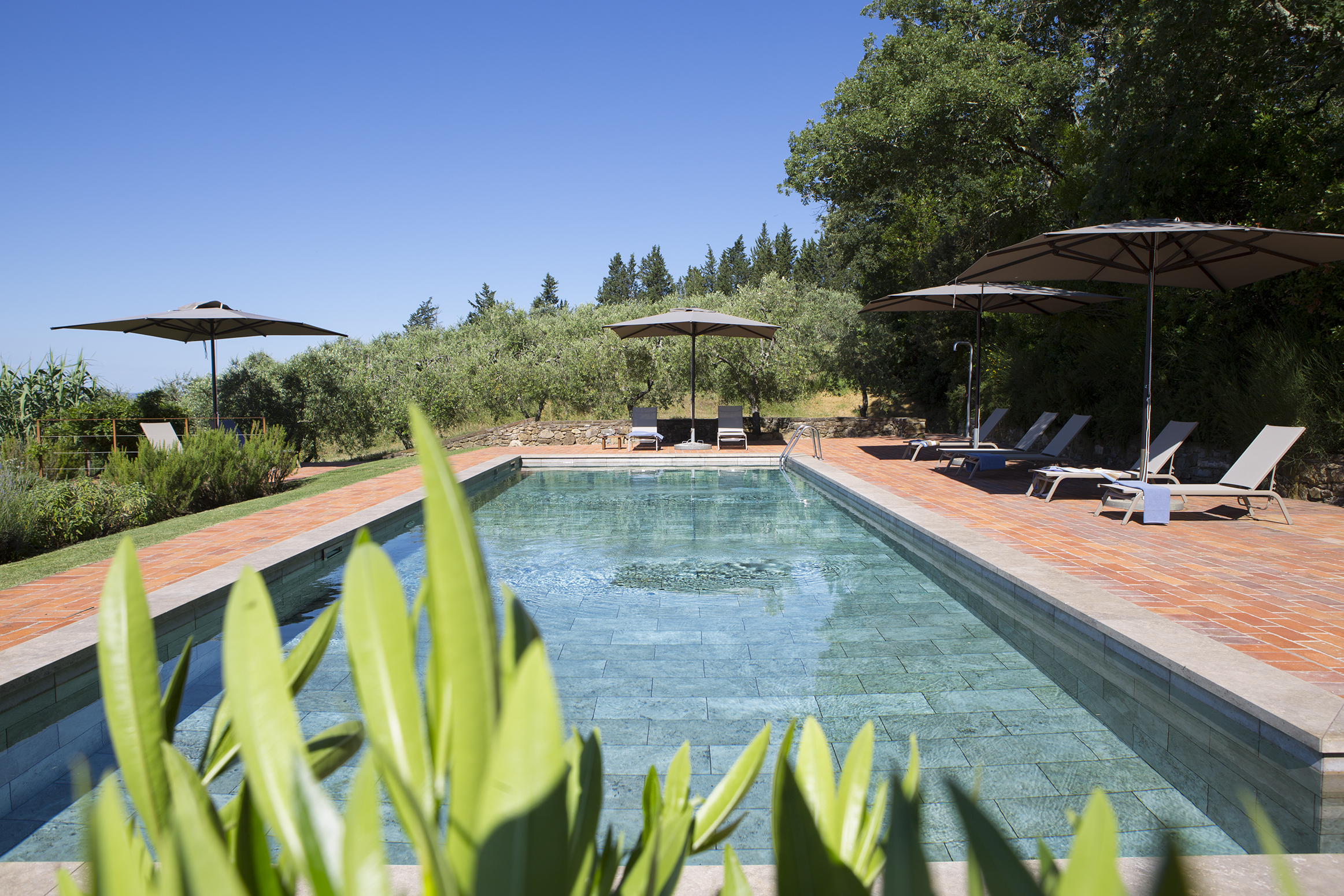 Una spaziosa piscina , circondata da un pavimento in mattoni rossi e con ulivi sullo sfondo. Lettini con grandi ombrelloni sono posizionati lungo il bordo della piscina, invitando al relax.<br><br> L'acqua della piscina scintilla chiara e azzurra, mentre in primo piano le foglie verdi incorniciano la piscina, creando una connessione armoniosa con la natura circostante.