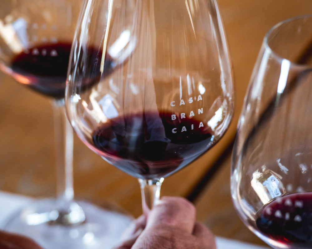 Couple of filled wine glasses with Brancaia red wine on a wooden table. The glasses have the logo 'Casa Brancaia' printed on them. The rich color of the red wine reflects the intensity and quality of the Brancaia wines offered during our exclusive tastings at the winery. Discover the variety of our red wines on a wine tour in Tuscany and experience the unique atmosphere of Brancaia